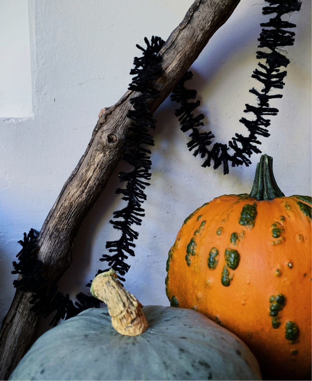 A diagonal branch looped with black jute Spider leg Strinsel string tinsel hanging above a green and an orange pumpkin against a rustic white wall